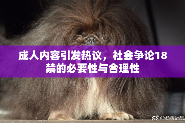 成人内容引发热议，社会争论18禁的必要性与合理性