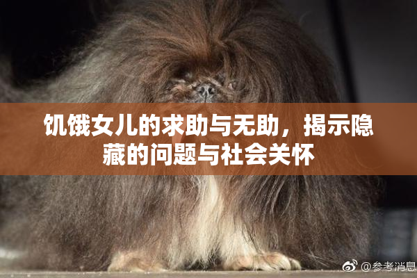 饥饿女儿的求助与无助，揭示隐藏的问题与社会关怀