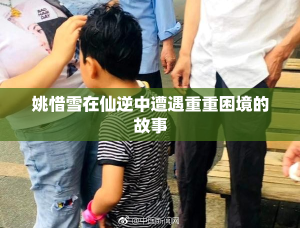 姚惜雪在仙逆中遭遇重重困境的故事