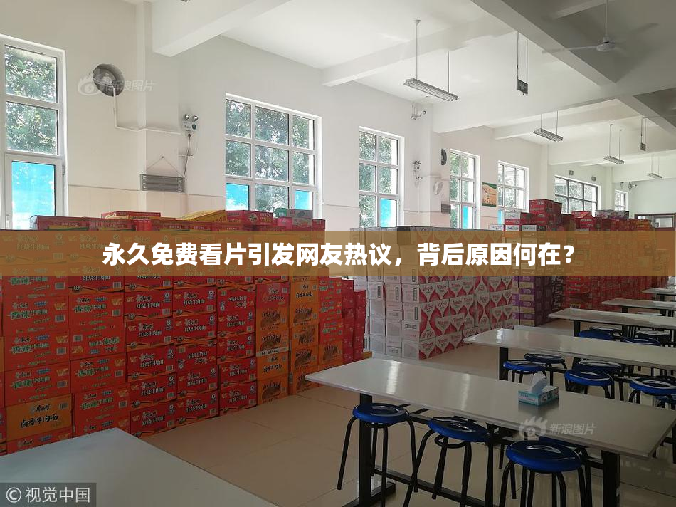 永久免费看片引发网友热议，背后原因何在？