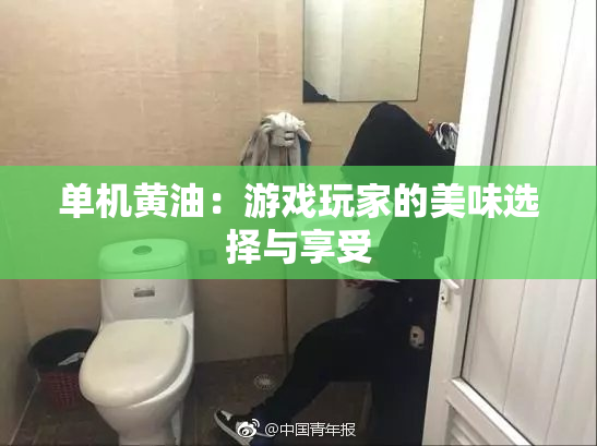 单机黄油：游戏玩家的美味选择与享受