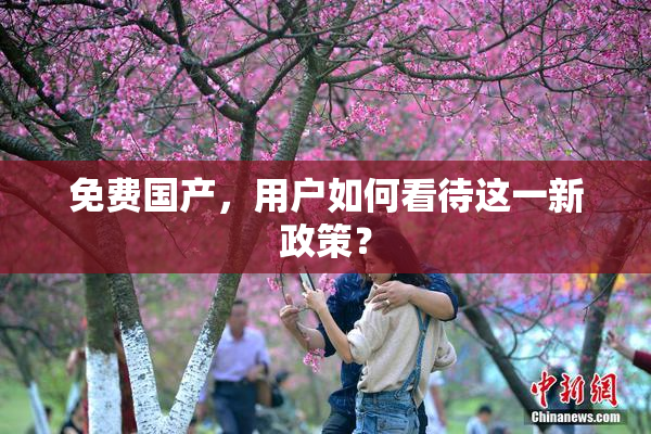 免费国产，用户如何看待这一新政策？