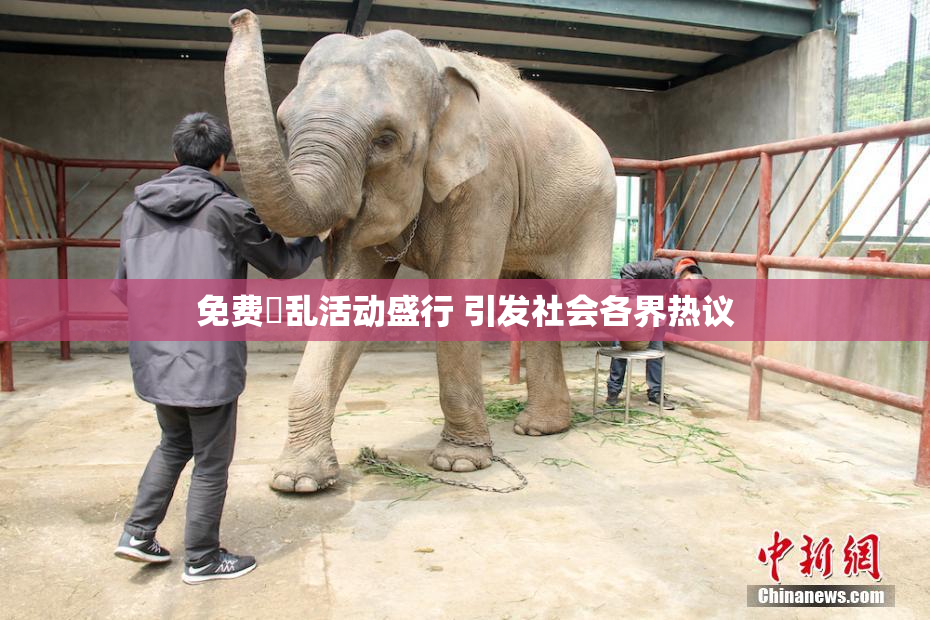 免费婬乱活动盛行 引发社会各界热议