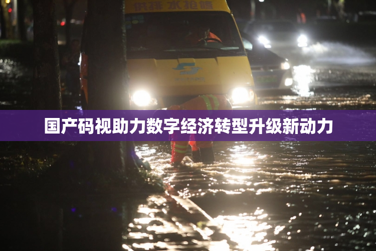国产码视助力数字经济转型升级新动力