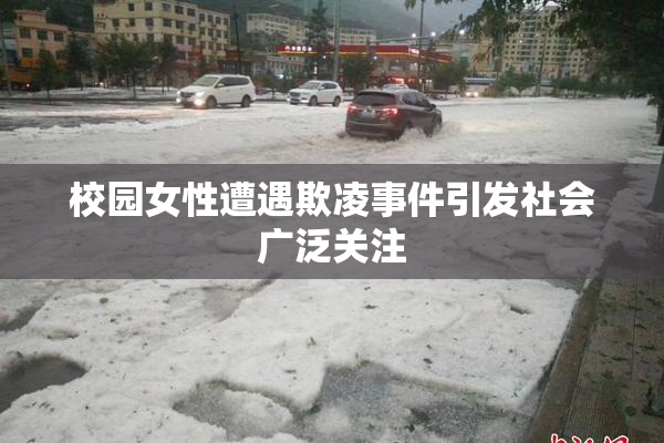 校园女性遭遇欺凌事件引发社会广泛关注