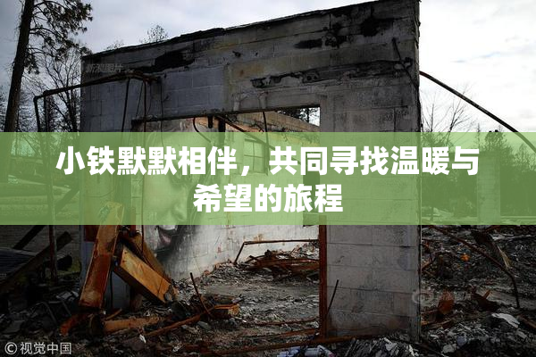 小铁默默相伴，共同寻找温暖与希望的旅程