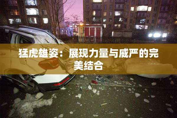 猛虎雄姿：展现力量与威严的完美结合