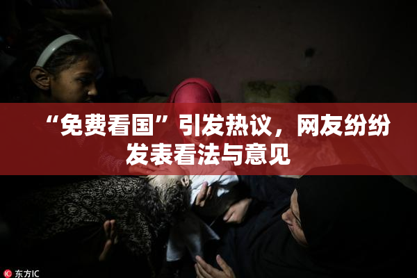 “免费看国”引发热议，网友纷纷发表看法与意见