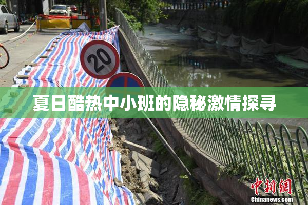 夏日酷热中小班的隐秘激情探寻