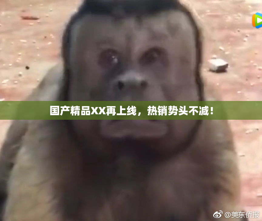 国产精品XX再上线，热销势头不减！