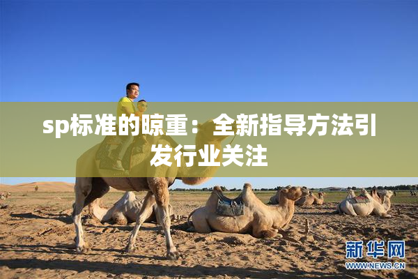 sp标准的晾重：全新指导方法引发行业关注