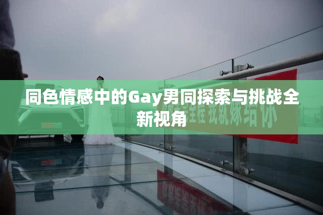 同色情感中的Gay男同探索与挑战全新视角