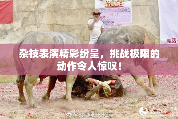 杂技表演精彩纷呈，挑战极限的动作令人惊叹！