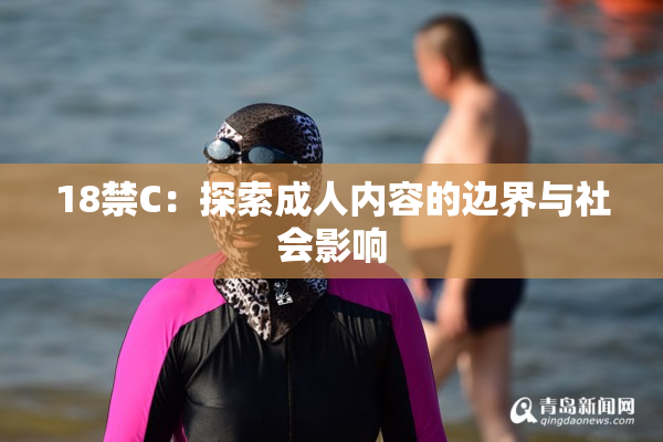 18禁C：探索成人内容的边界与社会影响