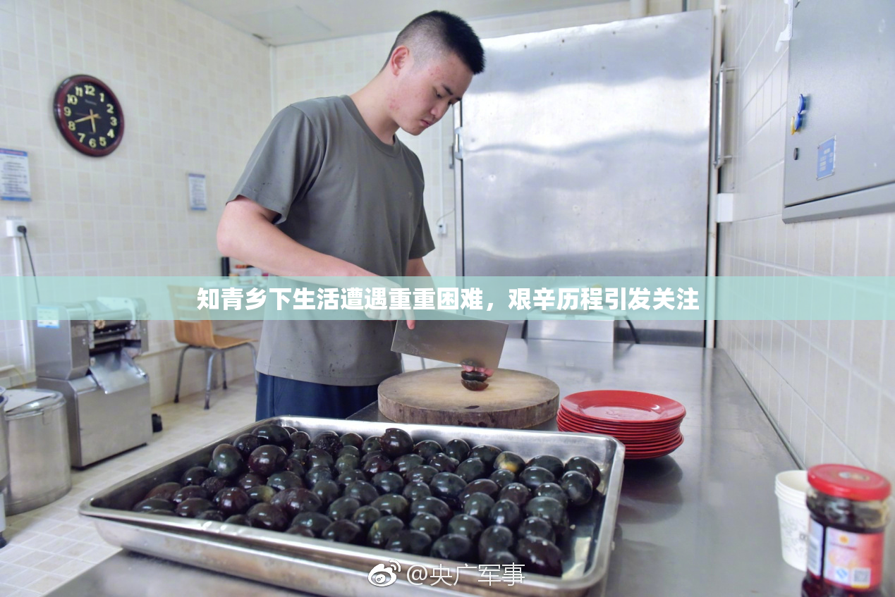知青乡下生活遭遇重重困难，艰辛历程引发关注