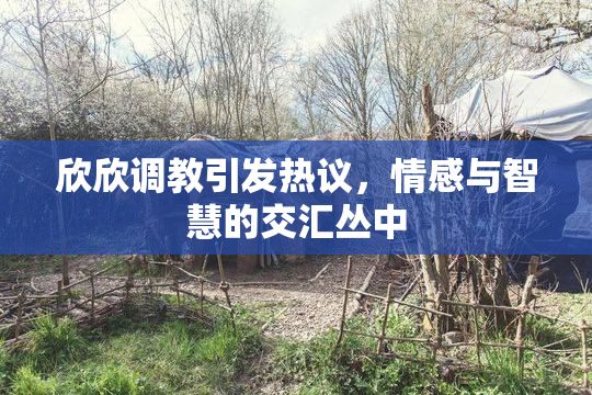 欣欣调教引发热议，情感与智慧的交汇丛中
