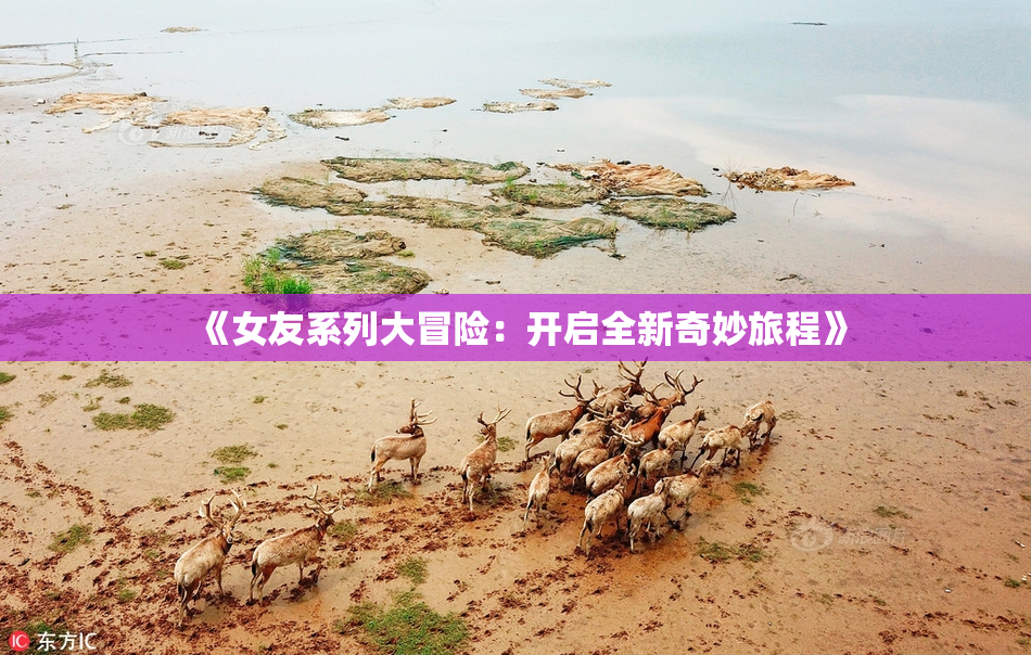 《女友系列大冒险：开启全新奇妙旅程》