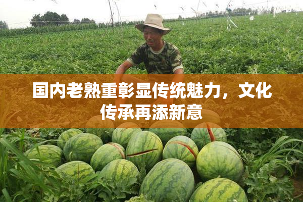 国内老熟重彰显传统魅力，文化传承再添新意