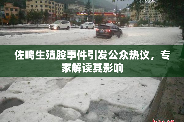 佐鸣生殖腔事件引发公众热议，专家解读其影响