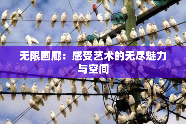 无限画廊：感受艺术的无尽魅力与空间