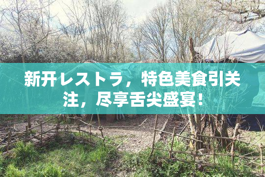 新开レストラ，特色美食引关注，尽享舌尖盛宴！