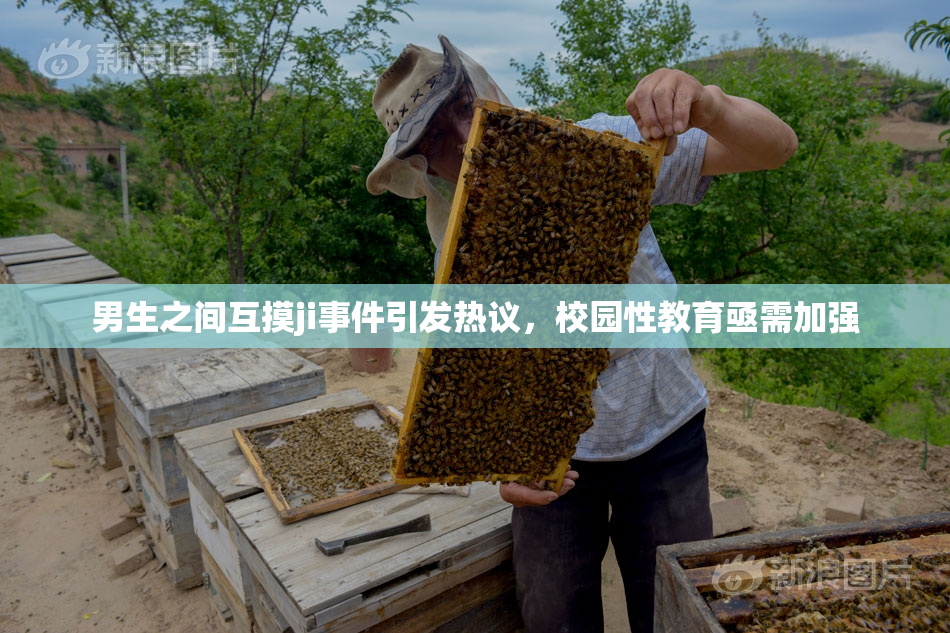 男生之间互摸ji事件引发热议，校园性教育亟需加强