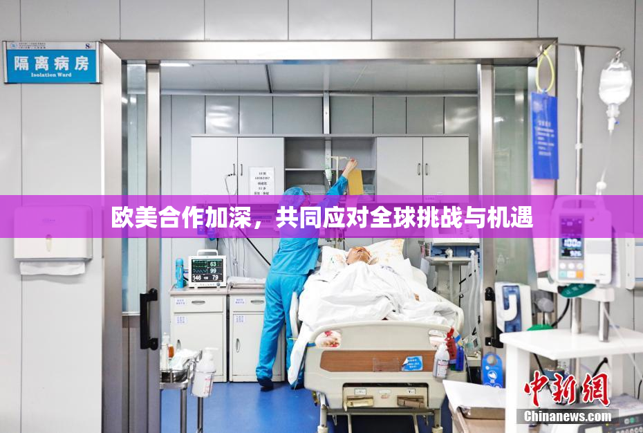 欧美合作加深，共同应对全球挑战与机遇