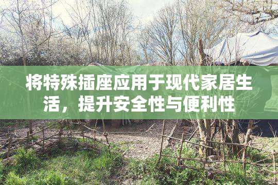 将特殊插座应用于现代家居生活，提升安全性与便利性