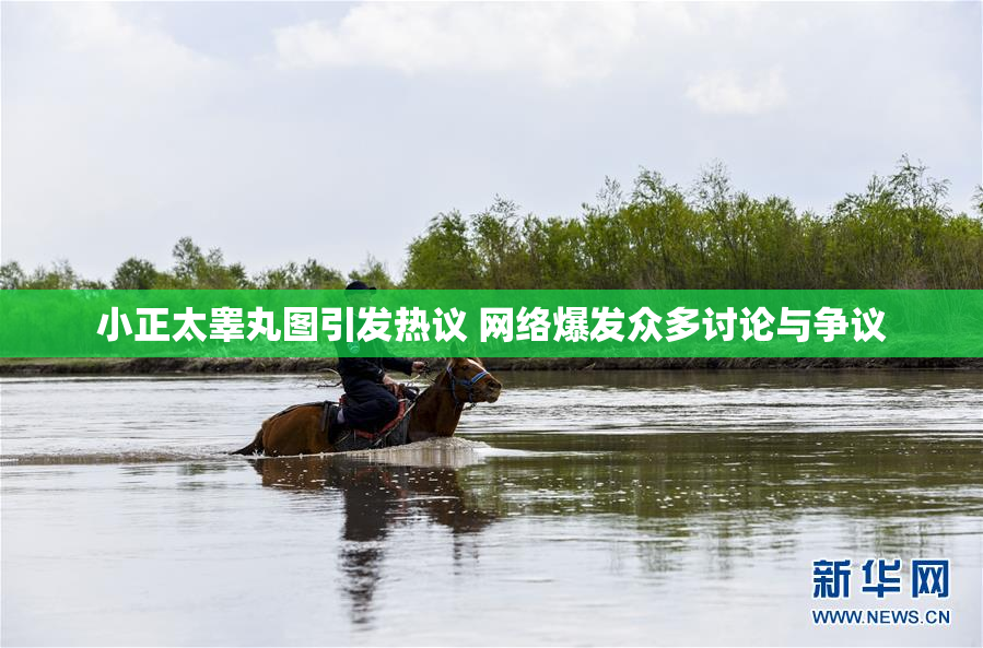小正太睾丸图引发热议 网络爆发众多讨论与争议