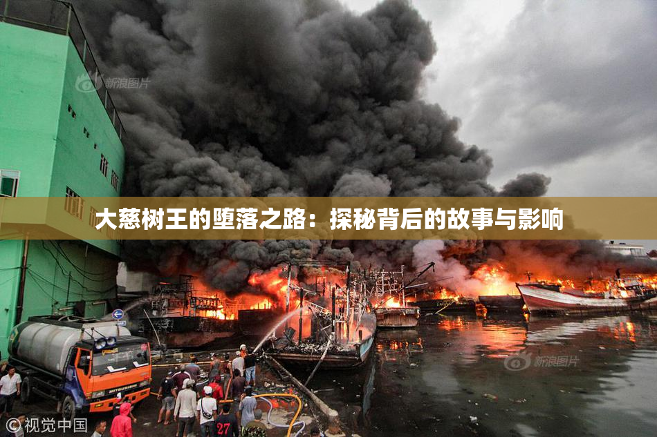 大慈树王的堕落之路：探秘背后的故事与影响