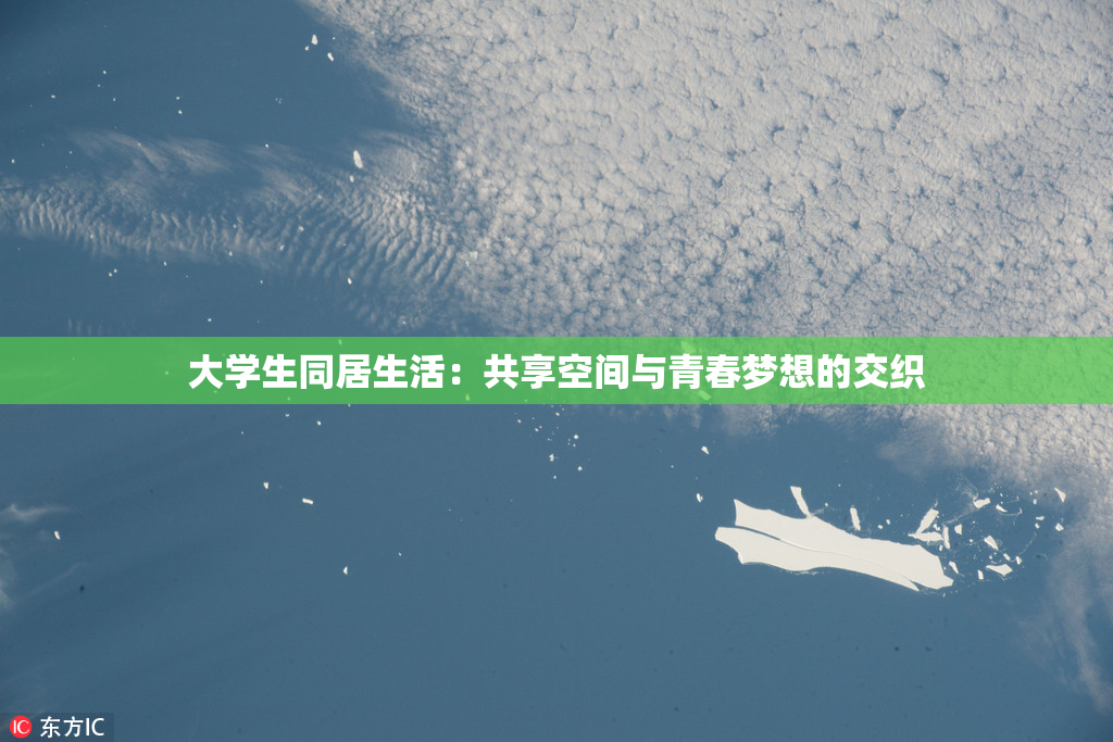 大学生同居生活：共享空间与青春梦想的交织