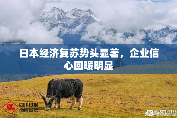 日本经济复苏势头显著，企业信心回暖明显