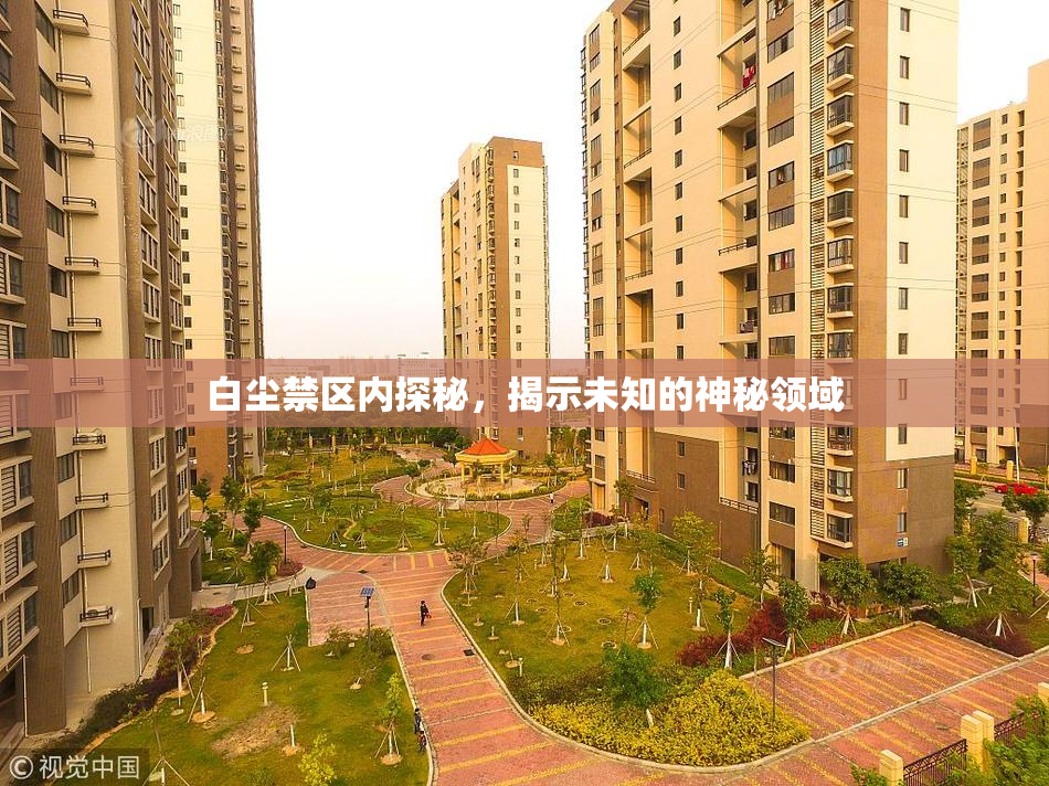 白尘禁区内探秘，揭示未知的神秘领域