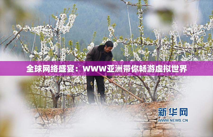 全球网络盛宴：WWW亚洲带你畅游虚拟世界