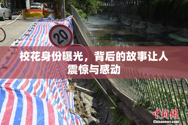 校花身份曝光，背后的故事让人震惊与感动
