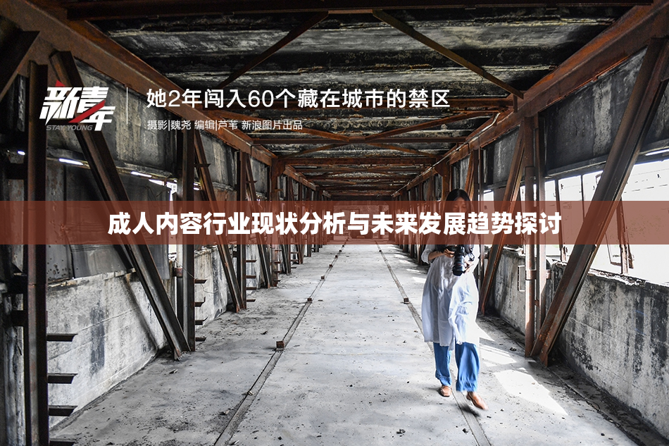 成人内容行业现状分析与未来发展趋势探讨