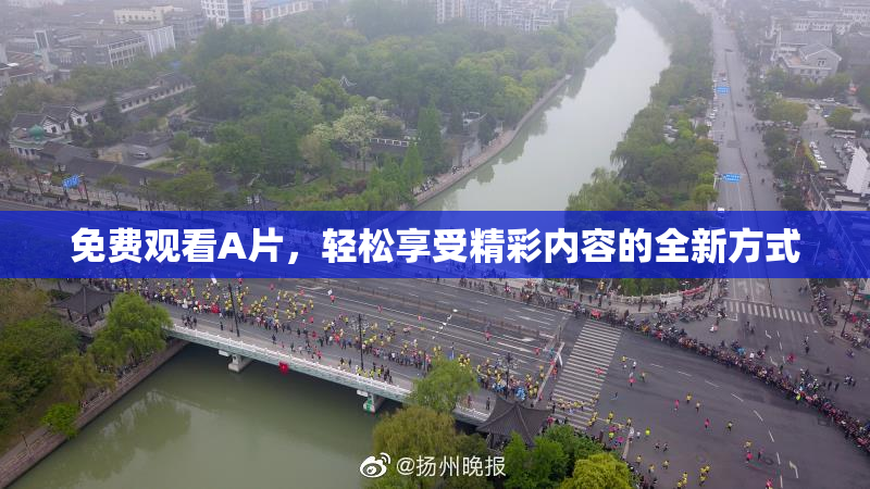 免费观看A片，轻松享受精彩内容的全新方式