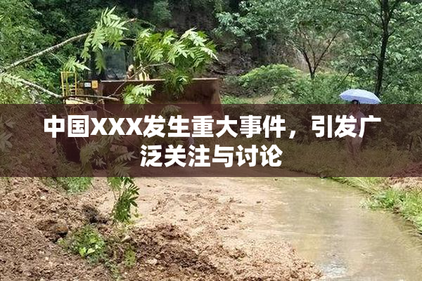 中国XXX发生重大事件，引发广泛关注与讨论