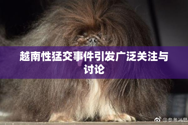 越南性猛交事件引发广泛关注与讨论