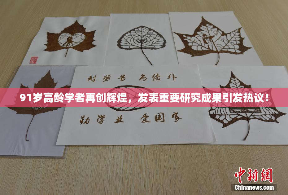 91岁高龄学者再创辉煌，发表重要研究成果引发热议！