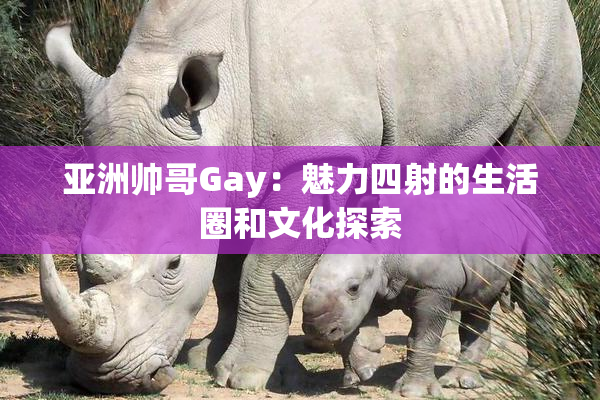 亚洲帅哥Gay：魅力四射的生活圈和文化探索