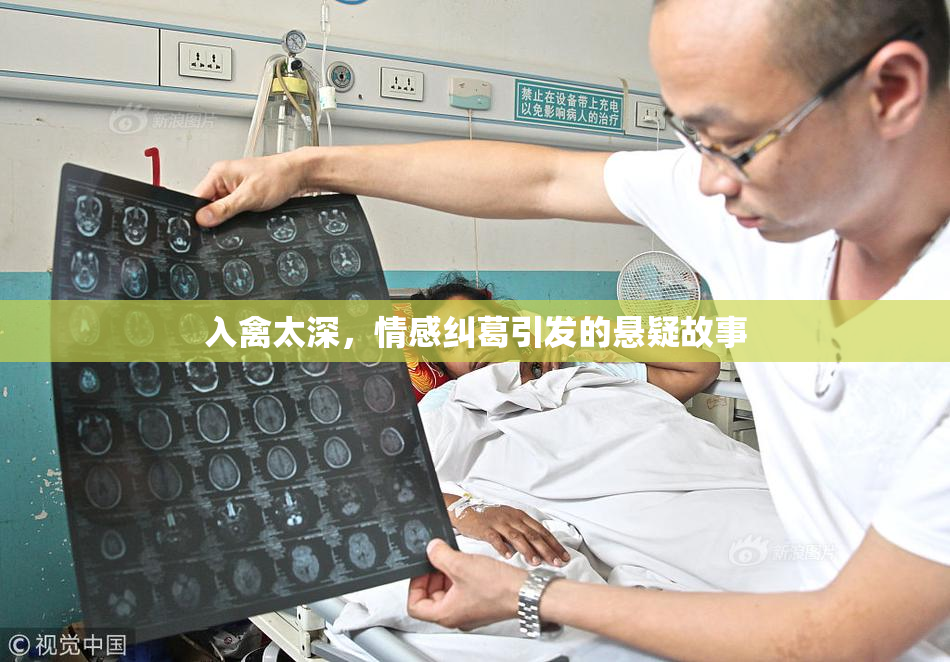 入禽太深，情感纠葛引发的悬疑故事