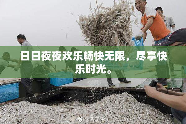 日日夜夜欢乐畅快无限，尽享快乐时光。