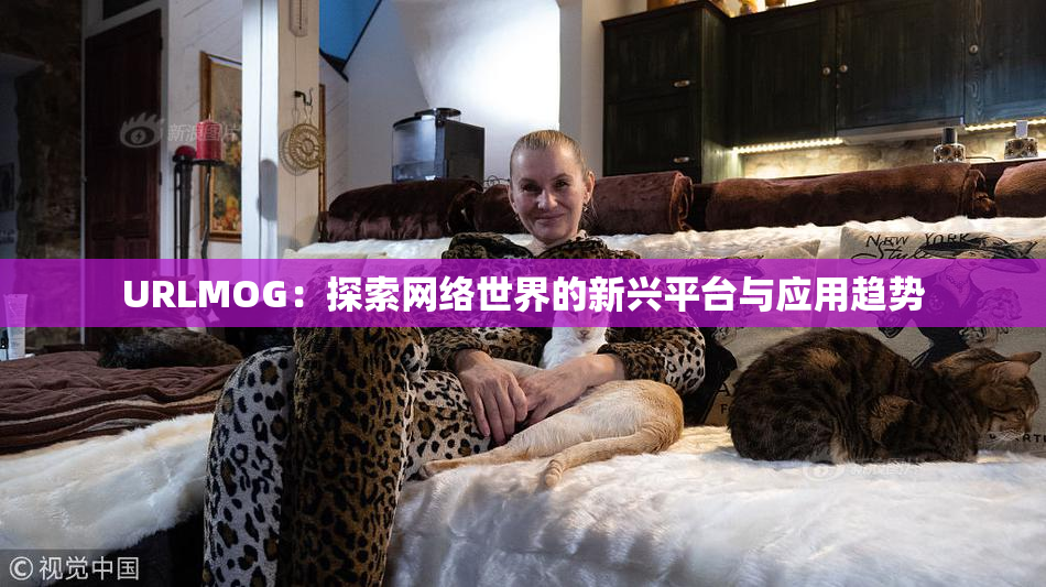URLMOG：探索网络世界的新兴平台与应用趋势
