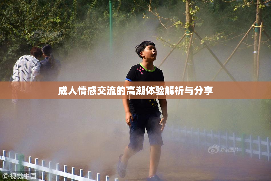 成人情感交流的高潮体验解析与分享