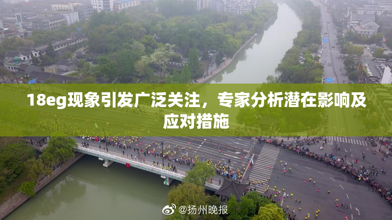 18eg现象引发广泛关注，专家分析潜在影响及应对措施