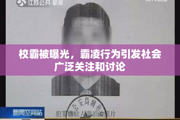 校霸被曝光，霸凌行为引发社会广泛关注和讨论