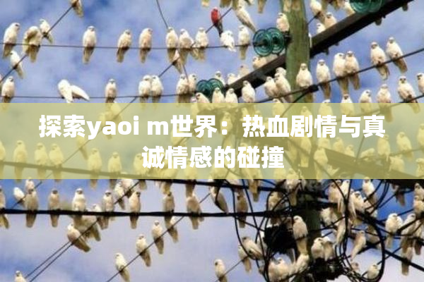 探索yaoi m世界：热血剧情与真诚情感的碰撞
