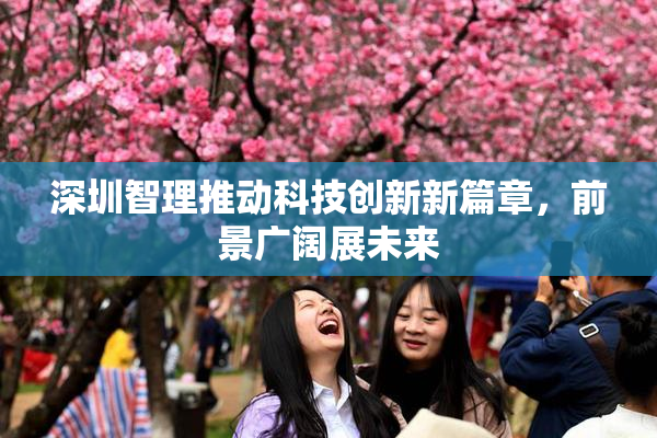 深圳智理推动科技创新新篇章，前景广阔展未来