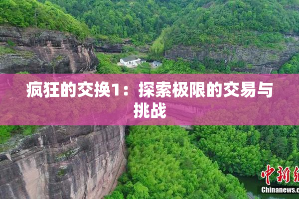 疯狂的交换1：探索极限的交易与挑战